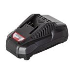 fortistis-mpatarion-lithioy-1h-raider-r20-rdp-r20-039704