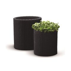 set-glastres-style-rattan-kafe-2tmkh-keter-26.00122