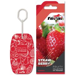 set-aromatikon-aytokinitoy-feral-fruity-collection-10tmkh-40228