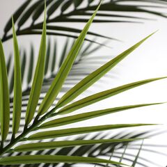 tekhnito-dentro-foinikas-210cm-uv-palm-tree-np160210uv