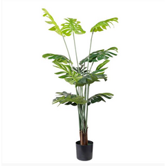 tekhnito-dentro-monstera-155cm-gia-diakosmisi-esoterikoy-khoroy-me-entyposiaka-fylla