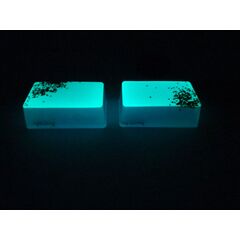 Φωσφορίζουσα χρωστική Neon NPP-ΒΒ 15gr
