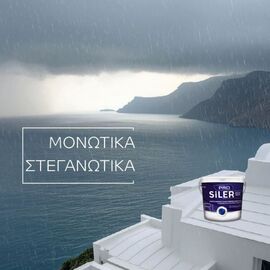 monotiko-and-steganotiko-epikhrisma-taratson-epaggelmatiko-leyko-9lt-siler-pro