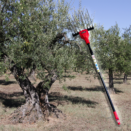 elaiorabdistiko-mpatarias-450w-me-kontari-anthrakonimatos-3-20m-and-baros-2-8kg-kyros-500