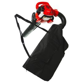 iskhyros-fysitiras-kheiros-benzinis-1hp-raider-rd-gbv06-077404