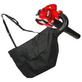 iskhyros-fysitiras-kheiros-benzinis-1hp-raider-rd-gbv06-077404