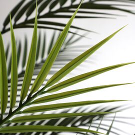 tekhnito-dentro-foinikas-210cm-uv-palm-tree-np160210uv