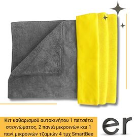 kit-katharismoy-aytokinitoy-1-petseta-stegnomatos-2-pania-mikroinon-kai-1-pani-mikroinon-tzamion-ser-4-tmkh