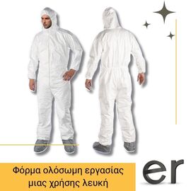 forma-olosomi-ergasias-mias-khrisis-leyki-mentor