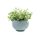 glastra-stroggyli-gkri-keter-keep-it-cozy-28x28x18cm