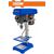 drapano-kolonato-pagkoy-350w-57cm-wadfow-wdp15350