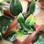 synthetiki-fyllosia-me-pergkola-pvc-dikhromi-prasini-0-90x1-80m-grasher-gd010-103870