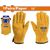 gantia-dermatina-odigoy-10-xl-wadfow-wlg2100