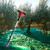 elaiorabdistiko-mpatarias-450w-me-kontari-anthrakonimatos-3-20m-and-baros-2-8kg-kyros-500