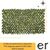 synthetiki-fyllosia-me-pergkola-pvc-dikhromi-prasini-0-90x1-80m-grasher-gd010-103870