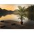 tekhnito-dentro-foinikas-210cm-uv-palm-tree-np160210uv