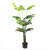 tekhnito-dentro-monstera-155cm-gia-diakosmisi-esoterikoy-khoroy-me-entyposiaka-fylla