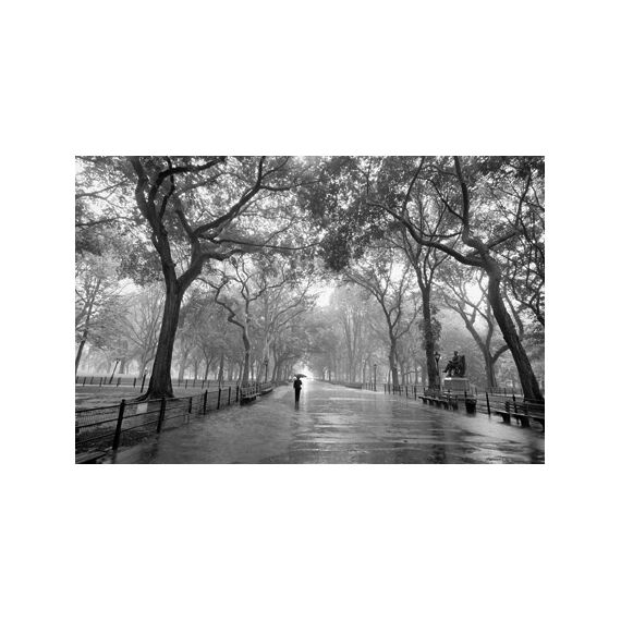 Poet's Walk 00662 Giant Arts 115 x 175cm