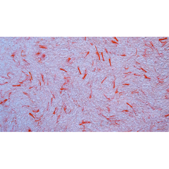 ygri-tapetsaria-me-monotikes-idiotites-olympos-fiberwallygri-tapetsaria-me-monotikes-idiotites-olympos-fiberwall