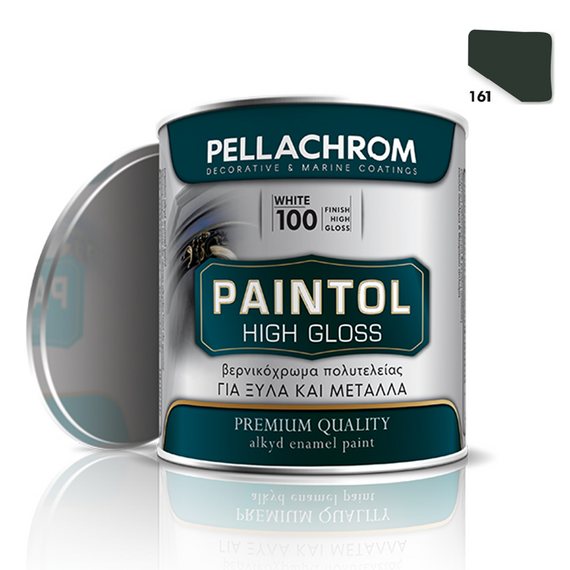 Paintol Ν.161 750ml