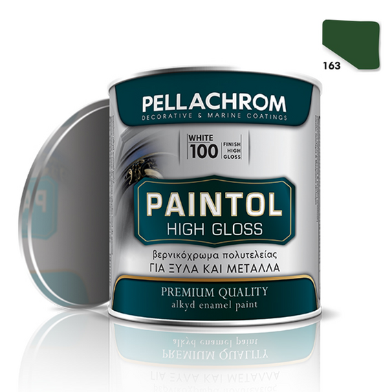 Paintol Ν.163 750ml