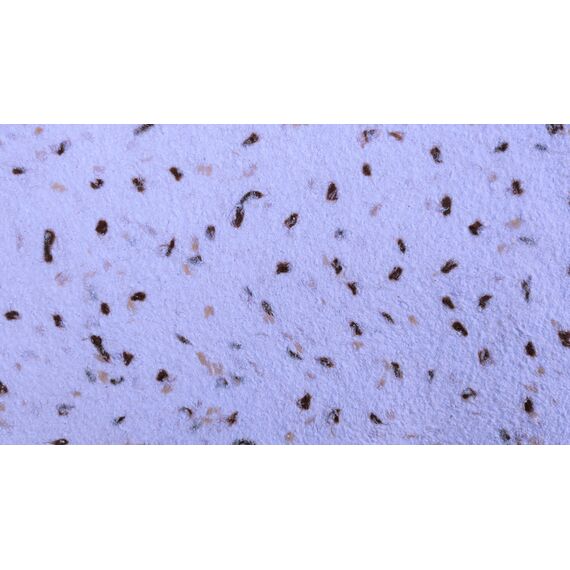 ygri-tapetsaria-me-monotikes-idiotites-olympos-fiberwall