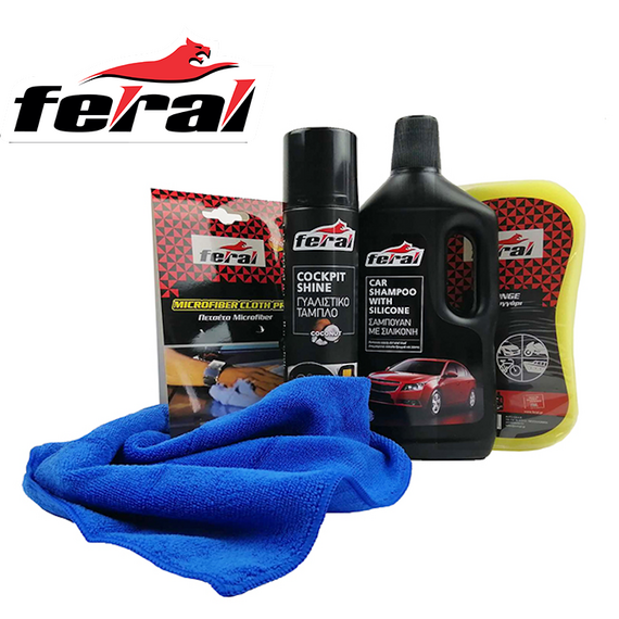 set-katharismoy-moto-kai-podilaton-tis-feral-5-temakhion-40234