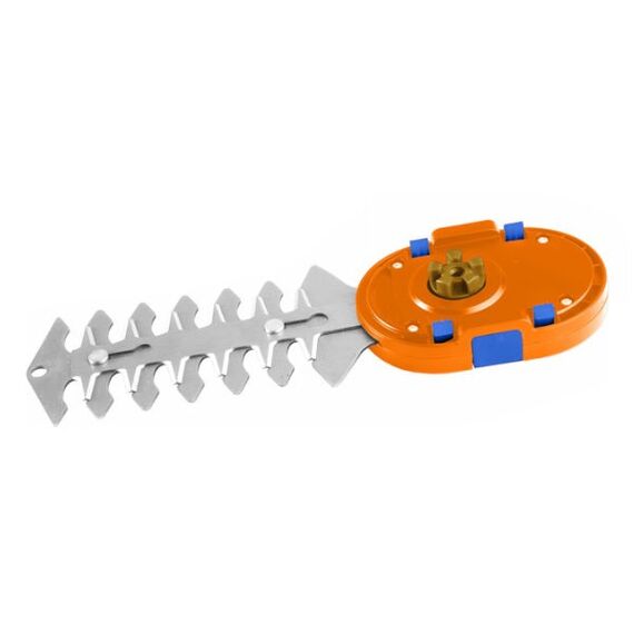 psalidi-gkazon-and-thamnon-mpatarias-4v-wadfow-wjc1504