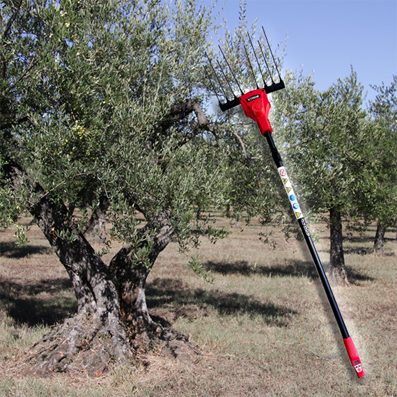 elaiorabdistiko-mpatarias-450w-me-kontari-anthrakonimatos-3-20m-and-baros-2-8kg-kyros-500