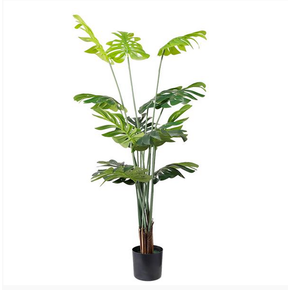 tekhnito-dentro-monstera-155cm-gia-diakosmisi-esoterikoy-khoroy-me-entyposiaka-fylla