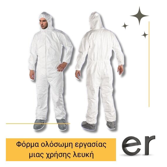 forma-olosomi-ergasias-mias-khrisis-leyki-mentor