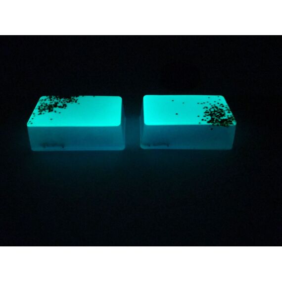 Φωσφορίζουσα χρωστική Neon NPP-ΒΒ 15gr