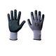 gantia-ergasias-nitrilioy-nitro-1810-f-and-t-safety
